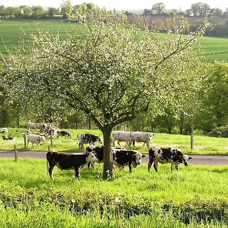 Vakantiehuis La Normande