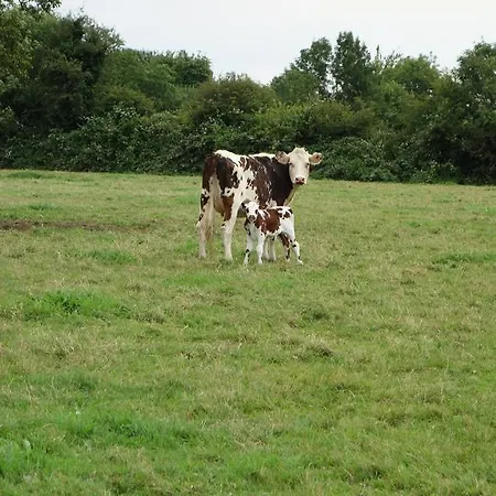 La Normande *
